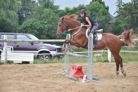 quelques images du Cheval Bleu...cliquez!
