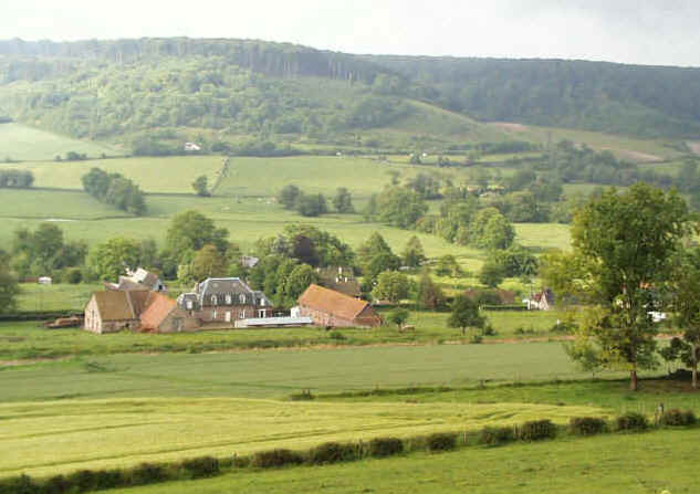 La Forêt d'Arques