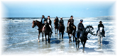 Sur la plage de Cayeux � l'Ascencion